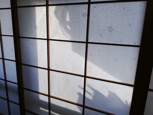 やっと貼り終えた。部屋が明るくなった