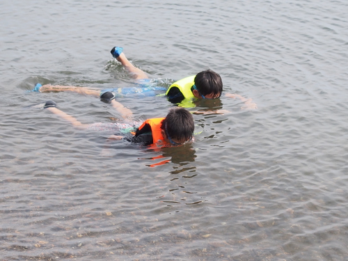 2019年を振り返って。釣りは毎度のチヌ釣りで代わり映えしないのでキャンプでも