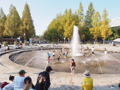 鶴見緑地公園のコスモスは、秋の日の何気ない陽溜まりに揺れていた