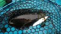 試験後の釣行 2015/10/28 23:02:22
