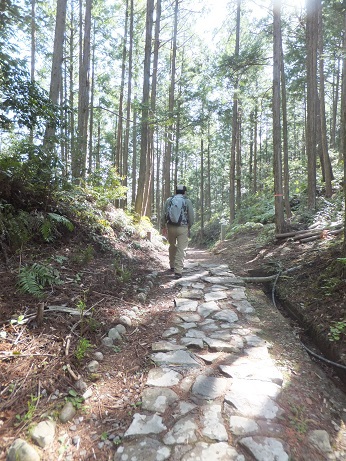 世界遺産歩き