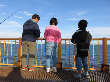 またまた磯子海釣り施設