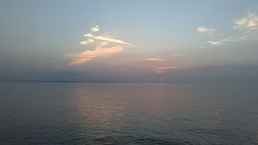 マゴチ20180624