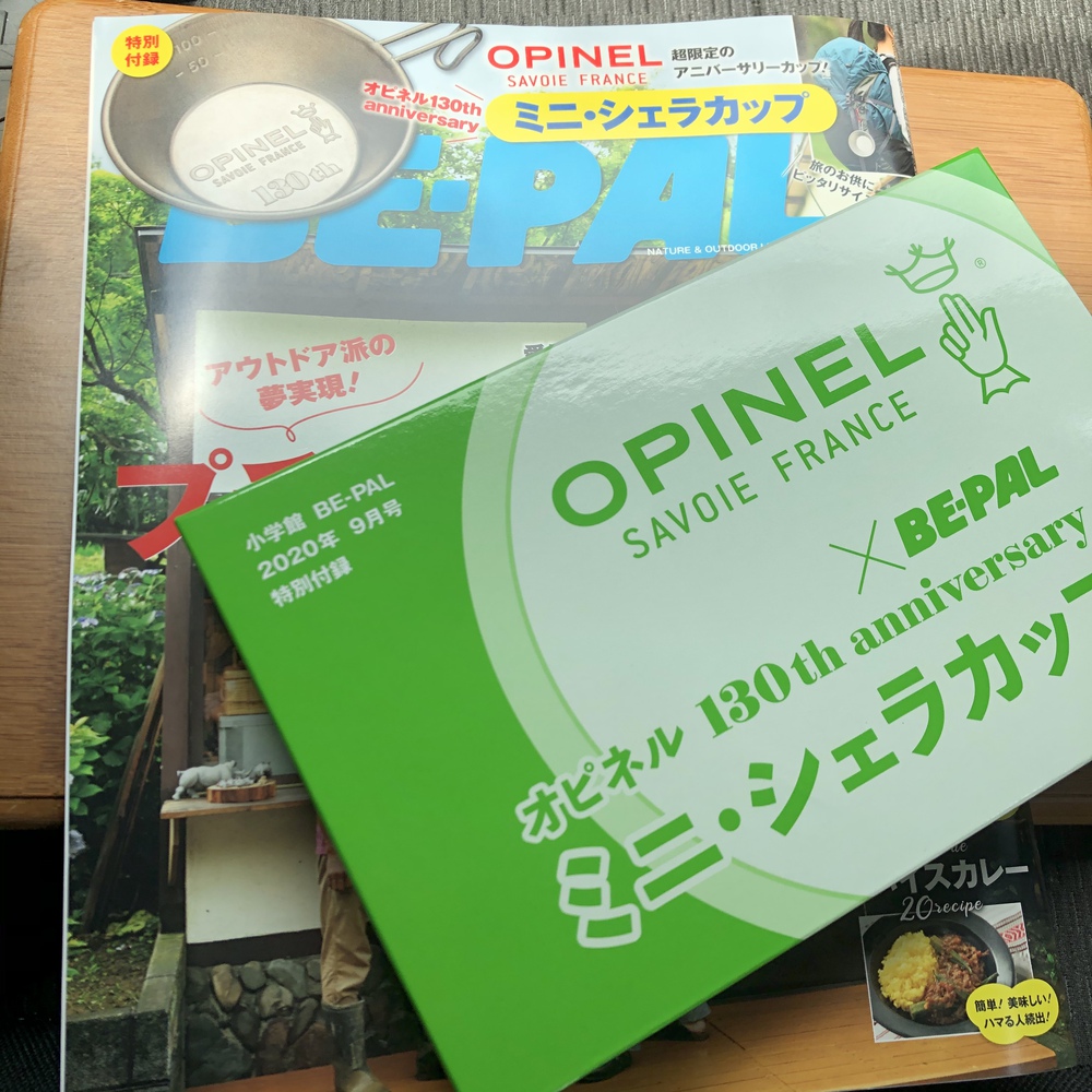付録ってやつは