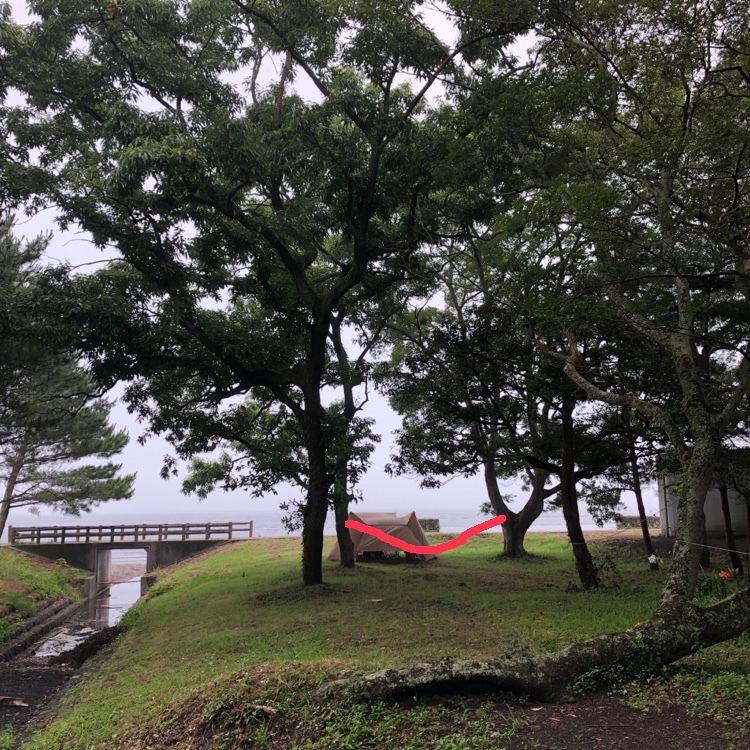 プチ旅バイク仕様へ