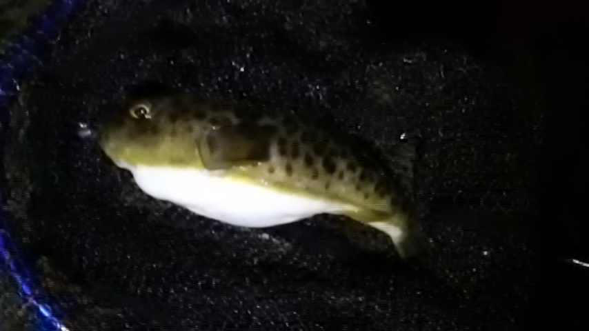 少し前の釣行20190126