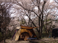 ″4/12日~13日″