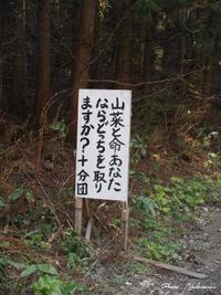 二人の相棒 2014/05/06 02:36:23