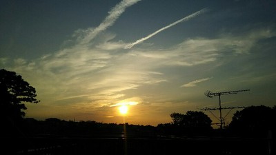 今日はここ