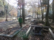 羅漢の里テントサイト風景