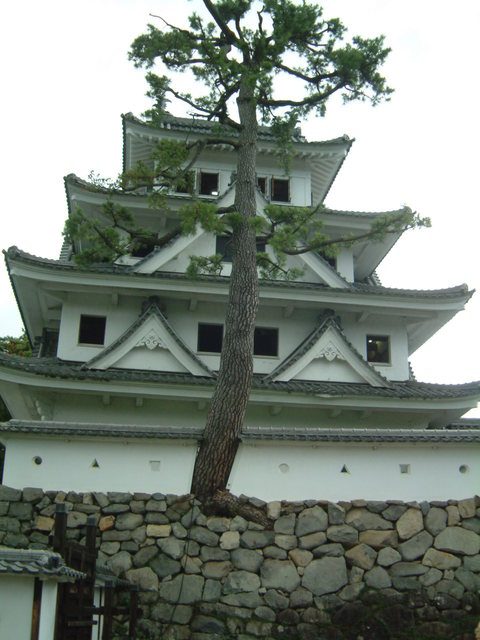 郡上八幡城