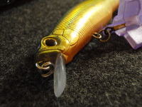 まだまだ！！！。 2009/01/08 20:20:22