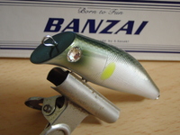 ｍｏｖｅ・ｏｎ　！！。 2009/02/27 18:58:16