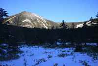 ４日、北横岳登山　その一。 2009/01/06 13:07:24