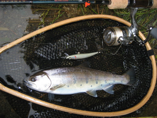 2011年6月18日　渡良瀬川本流　釣行