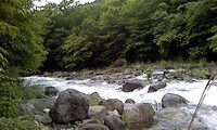 ★魚籠の中身は・・・・・★