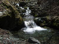 天竜川水系三峰川支流　ＩＴ沢 2010/04/26 19:58:31