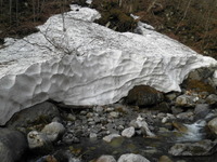 雪の残る渓へ 2013/04/17 17:36:47