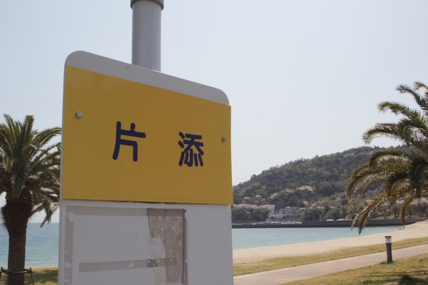 花見in片添