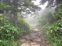 ★登山★苗場山・谷川岳（第一章）【新潟県・長野県・群馬県】