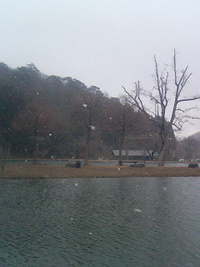 またしても・・・ 2007/03/19 01:40:52