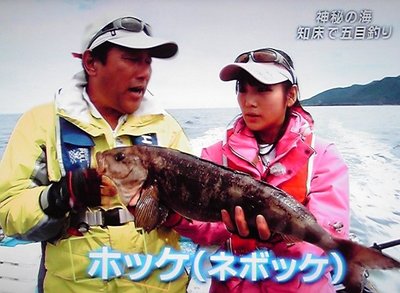 今日の釣りロマンは