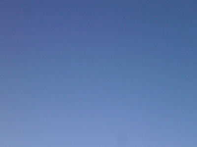 今日も良い天気