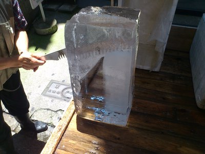 動物園の白熊気分