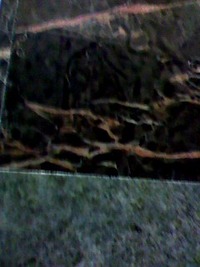 御影石 2012/05/01 11:11:31