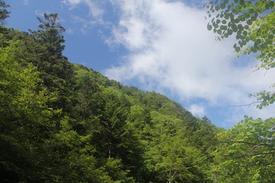 夏沢　たけかんばキャンプ場