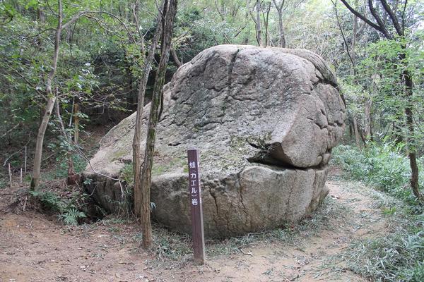 六甲ロックガーデンー魚屋道