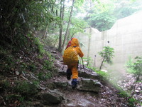 雨の六甲　紅葉谷
