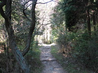 六甲　住吉道