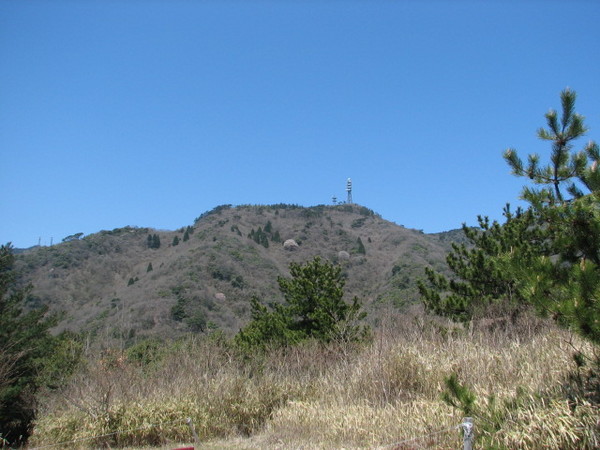 六甲　住吉道