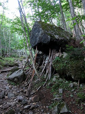 日光白根山