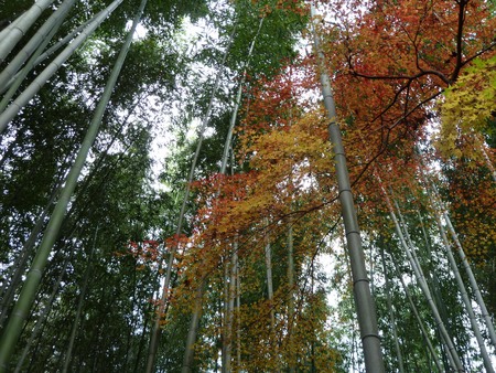 ふらっと京都へ・・・