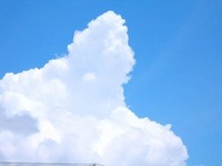最後の夏休み＾＾ 2006/08/27 17:54:12