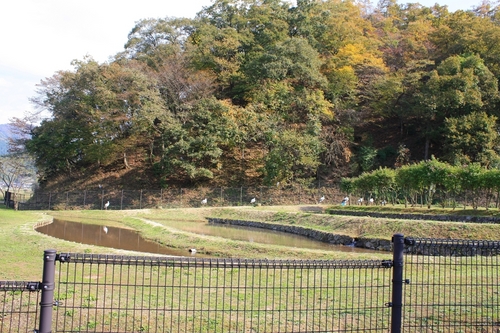 若杉高原キャンプ場