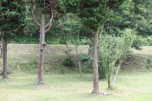 古法華自然公園に行ってきました