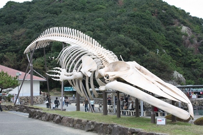 車で遠くへ・・・ぐるり紀伊半島１周の旅