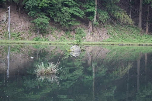 リバーランス角川