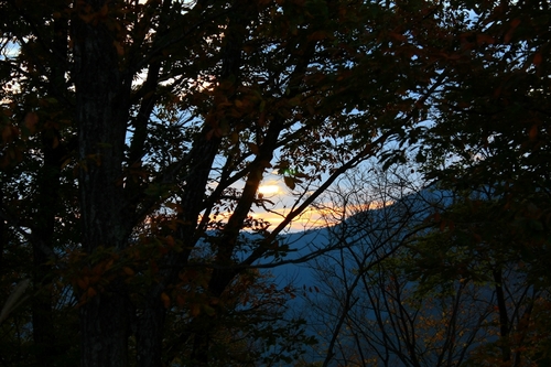 若杉高原キャンプ場