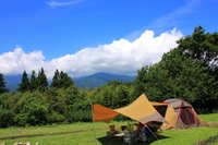 リベンジ　いなかの風