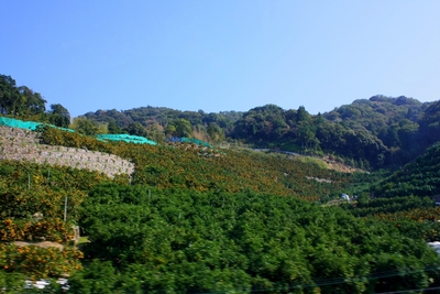 車で遠くへ・・・ぐるり紀伊半島１周の旅