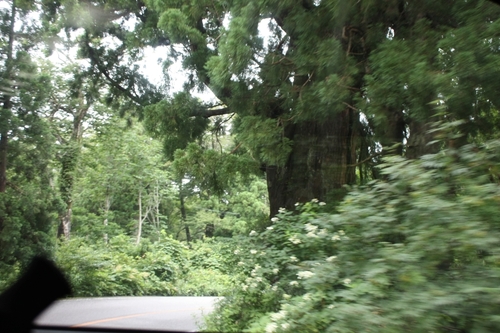 夏休み後編（立山登山）