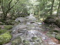 成川渓谷 2011/08/04 23:15:21