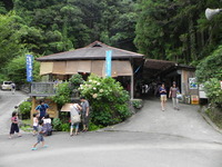 安森洞 2011/08/07 23:45:38