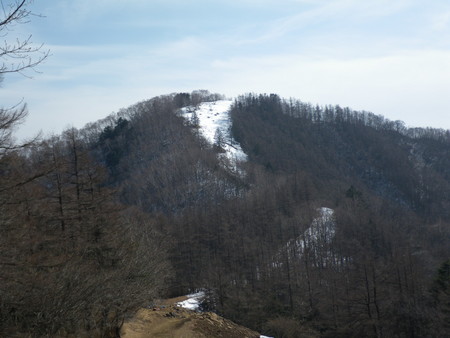 雲取山へ(2011.2.5-6)その1