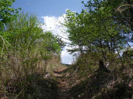 棒ノ折山へ(2011.5.14)