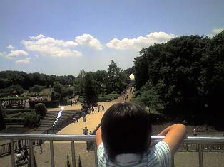 公園にシジュウカラの巣